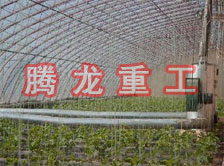 大棚花卉供暖設備、大棚卉采暖設備、大棚花卉取暖設備